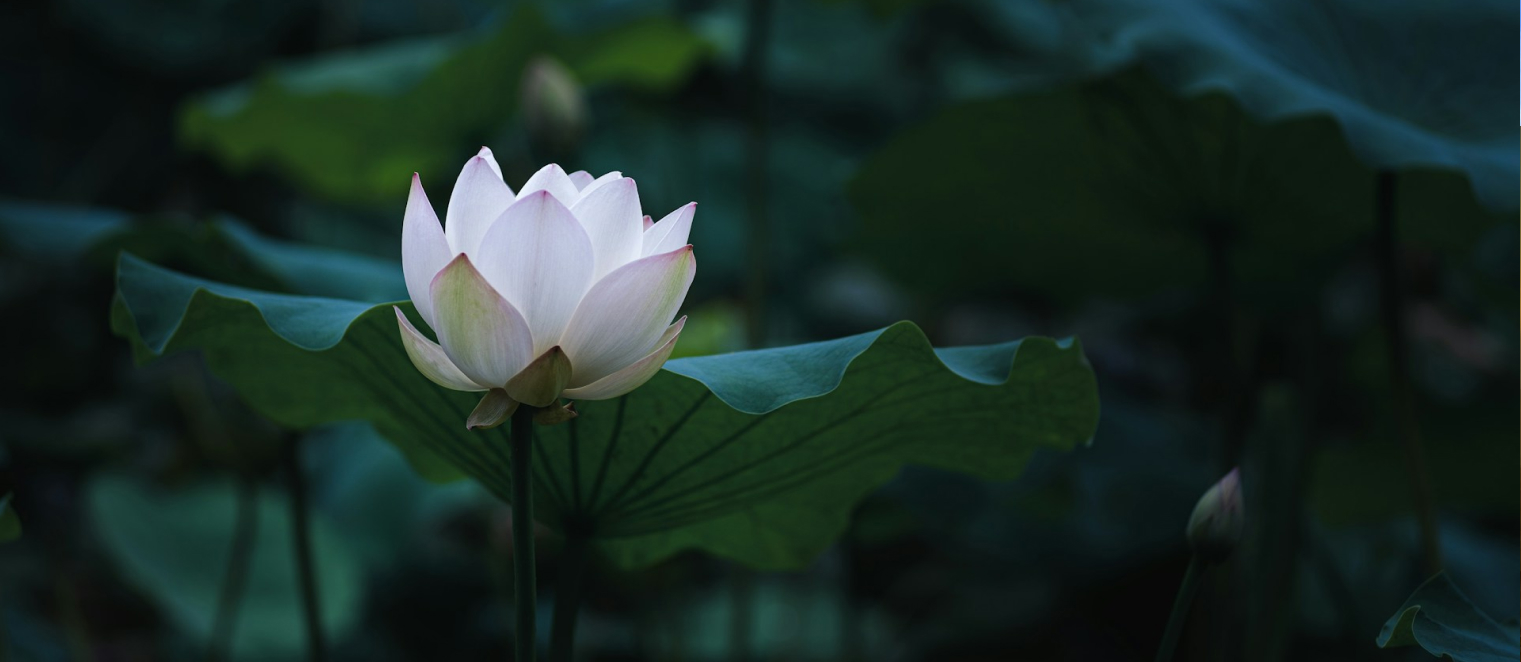 Play Therapy in Short Hills, NJ