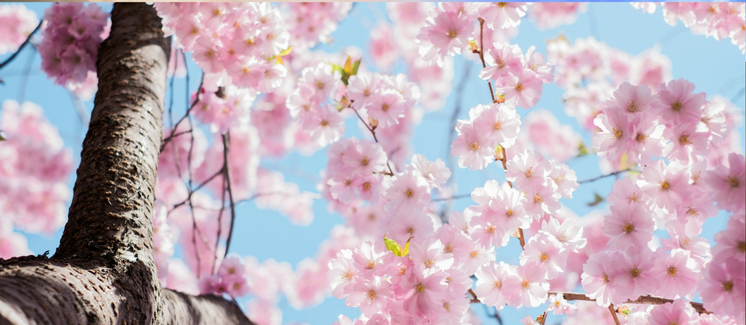 What Does DBT Stand For? How Dialectical Behavior Therapy Can Help You Heal