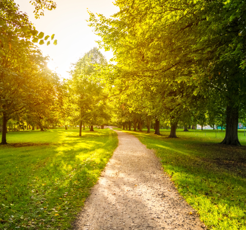 Internal Family Systems (IFS)