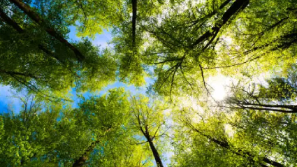 Anxiety Therapy in Short Hills NJ – Compassionate Support for Lasting Relief