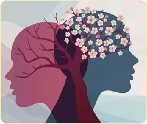 Meredith Strauss LCSW