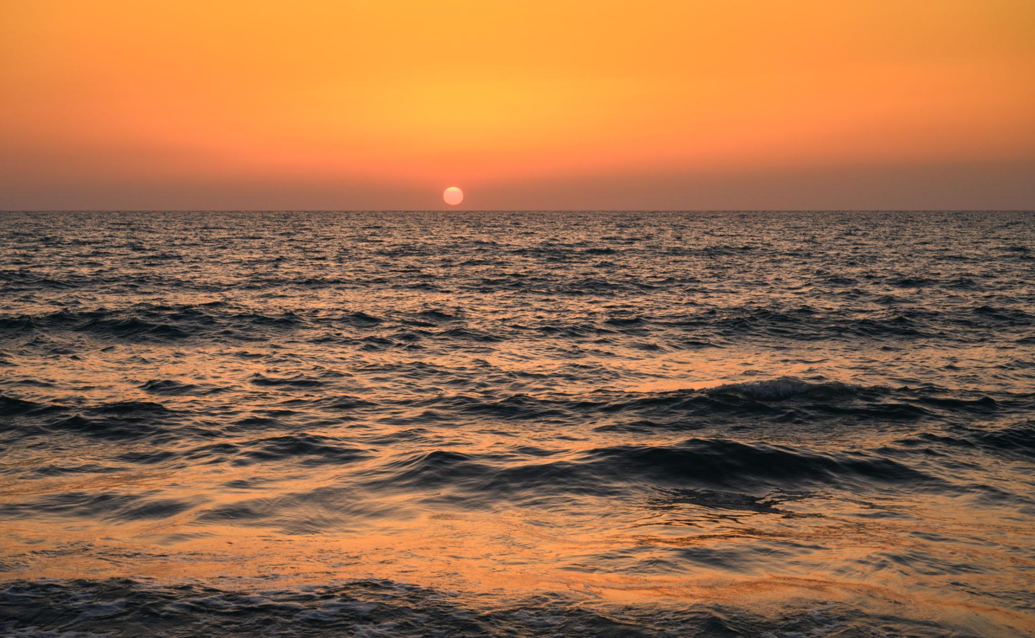 Online EMDR Trauma Therapy in New Jersey | Virtual & In-Person EMDR in Short Hills