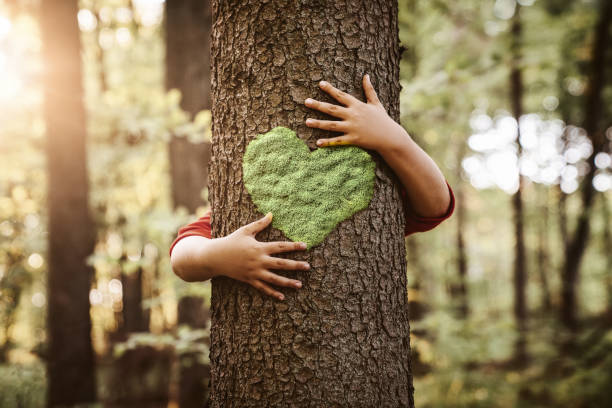 Best Online Trauma Therapist for Childhood Trauma in Chatham, NJ