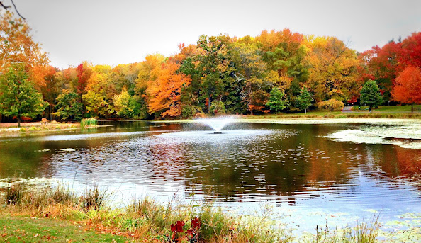 Trauma Therapist Counselor in Cranford, NJ | PTSD, Anxiety, EMDR, DBT Therapy