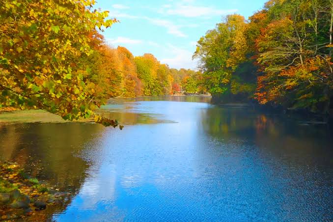Psychotherapy Services in Mountainside, NJ –  trauma, anxiety, depression EMDR, DBT,PTSD, (IFS)