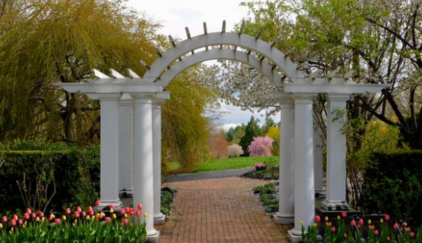 Trauma Therapist Counselor in Whippany, NJ | PTSD, Anxiety, EMDR, DBT Therapy